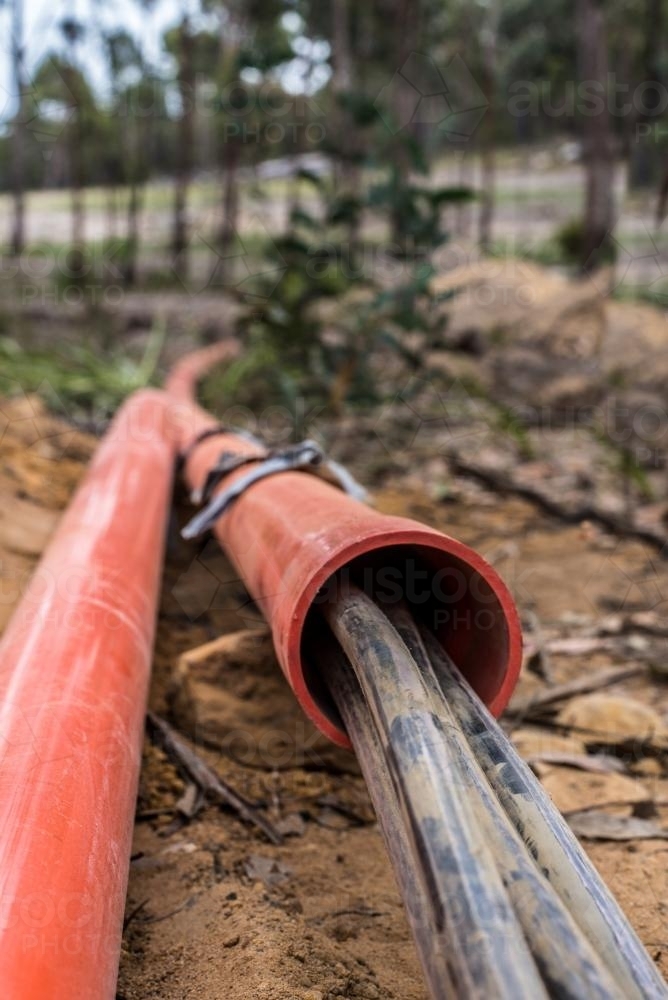 Black power cables inside orange electrical conduit - Australian Stock Image