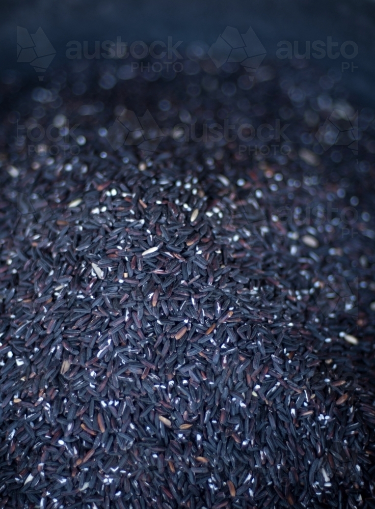 Black Rice - Australian Stock Image