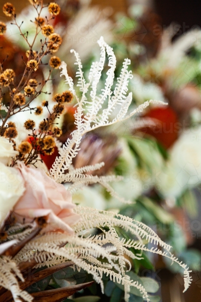 Bleached dried fern in floral arrangement - Australian Stock Image