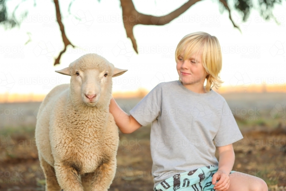 Blonde boy showing affection to pet sheep in the country - Australian Stock Image