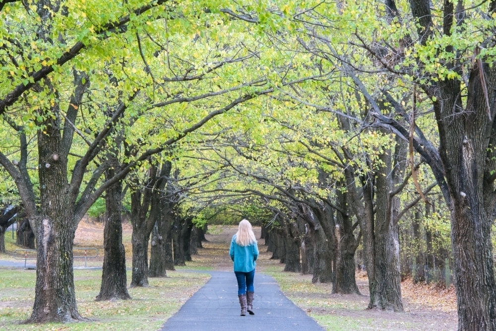 Blonde woman walks away down an avenue of autumn green and yellow trees. - Australian Stock Image