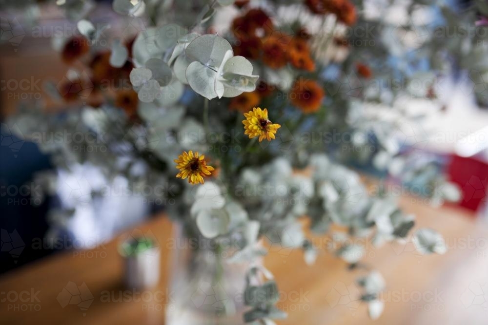 Blue Eucalyptus and dried flowers on a table in a cafe - Australian Stock Image