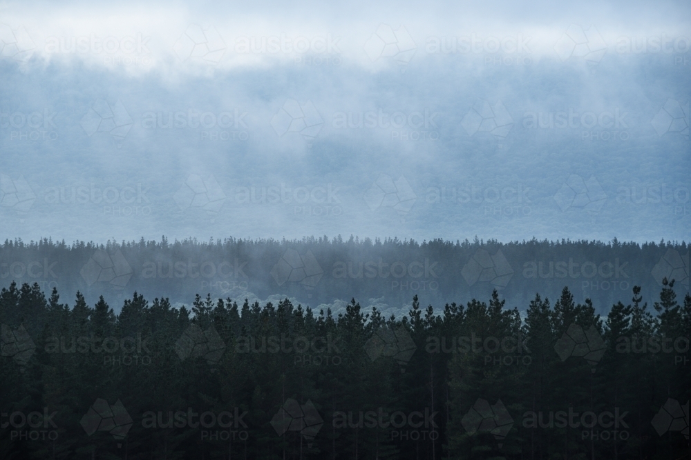 Blue landscape in low clouds - Australian Stock Image