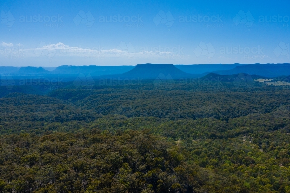 Blue Mountains region - Australian Stock Image