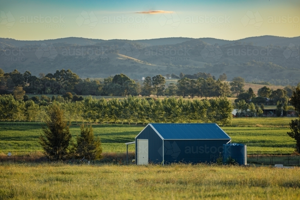 Blue shed on farm with Mudgee's rolling hills in background - Australian Stock Image