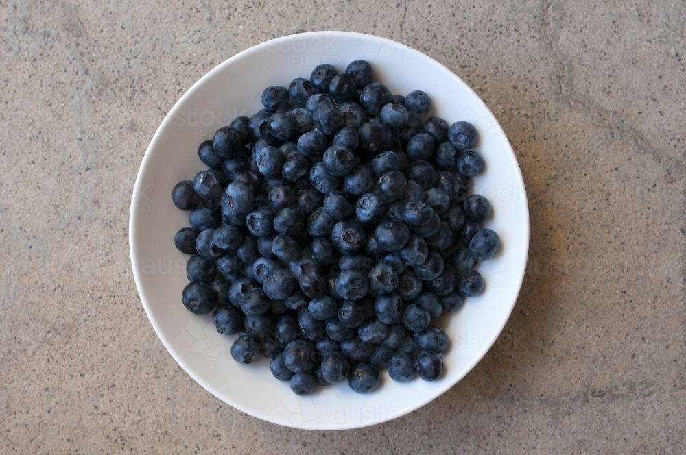 Blueberries in a white bowl - Australian Stock Image