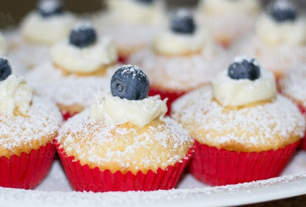 Blueberry cupcakes - Australian Stock Image