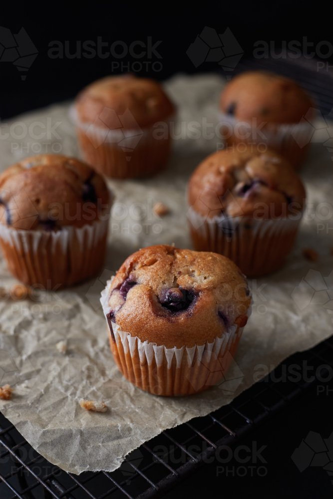 Blueberry muffins on baking paper - Australian Stock Image