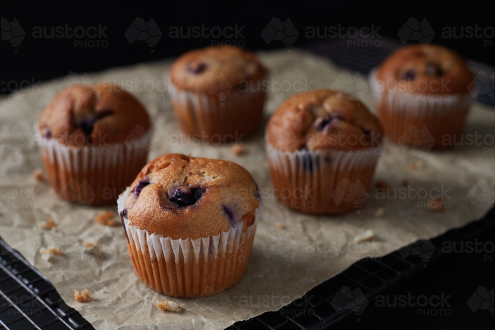 Blueberry muffins on cooling rack. - Australian Stock Image