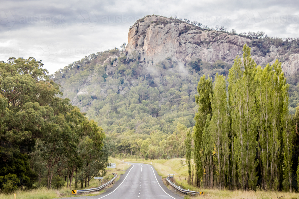 Bluff Rock Poplars and road - Australian Stock Image