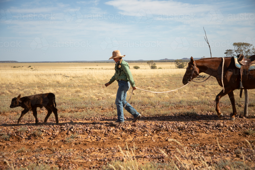 blurred image Woman leading her horse and following a calf - Australian Stock Image