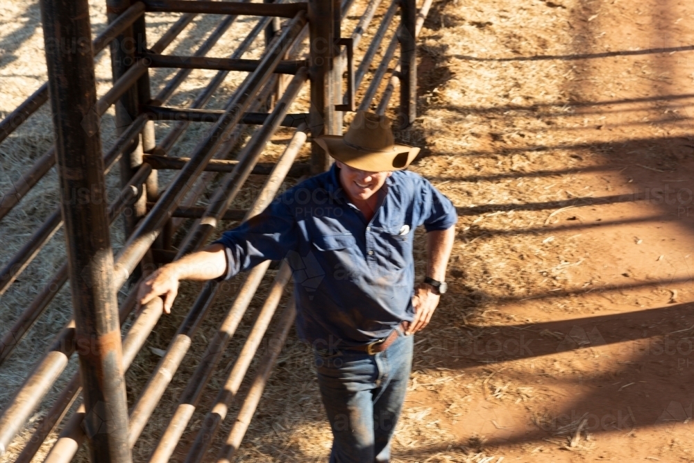 Blurred shot of a man outside leaning on a cattle yard fence - Australian Stock Image
