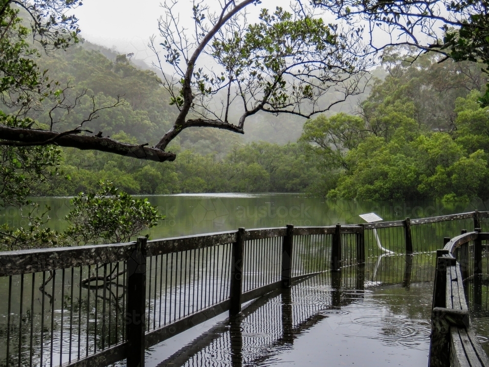 Boardwalk under king tide in the mist horizontal - Australian Stock Image
