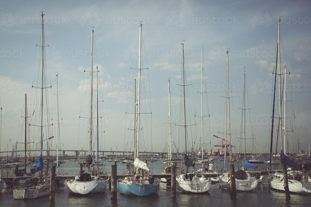 Boats at the Dock - Australian Stock Image