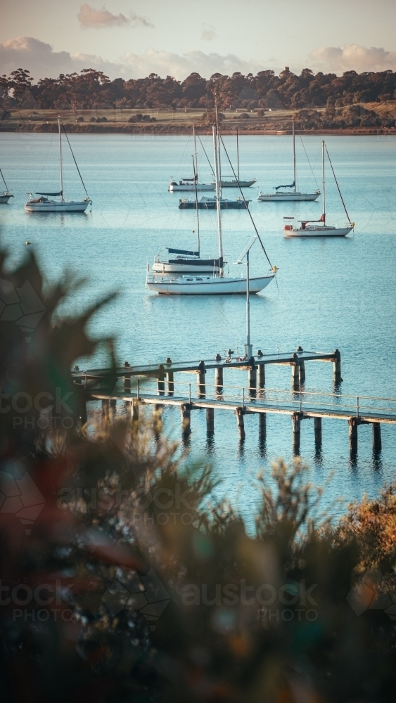 Boats beside a dock on a bright blue sea at the Geelong Waterfront - Australian Stock Image