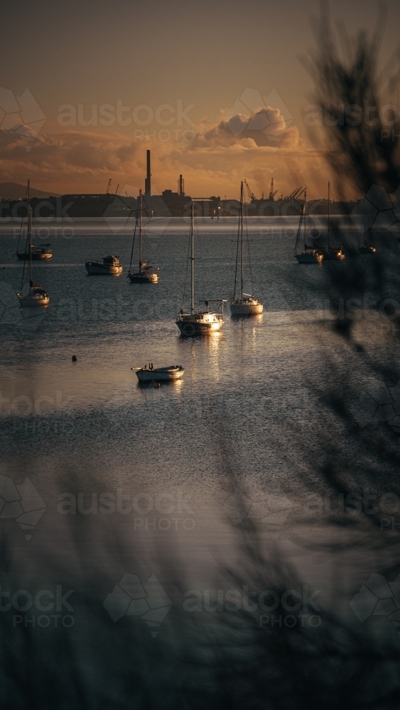 Boats Docked at the Geelong Waterfront before Sunrise - Australian Stock Image