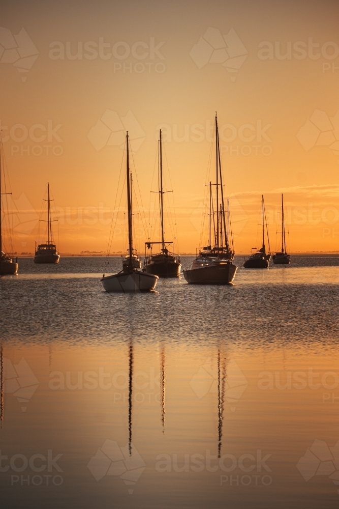 Boats Docked at the Geelong Waterfront before Sunrise - Australian Stock Image