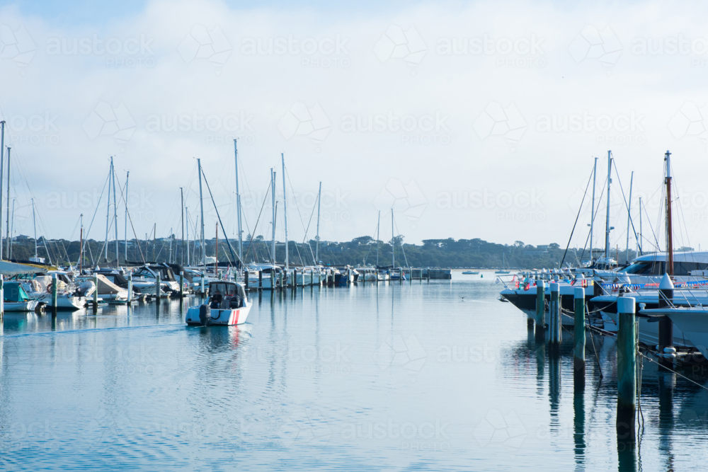 Boats lined up on still water in ocean marina - Australian Stock Image