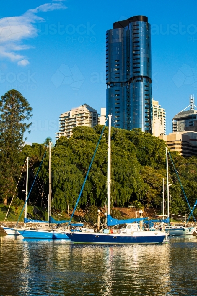 Boats moored along the Brisbane River near the City Botanic Gardens - Australian Stock Image