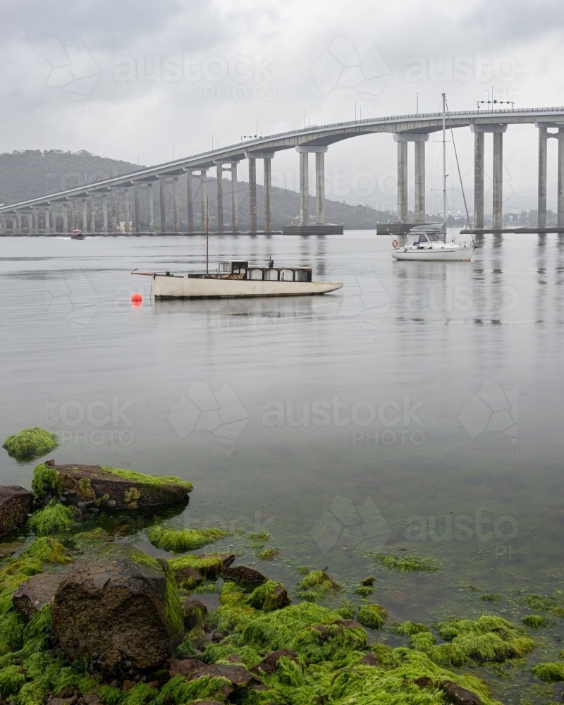 Boats moored in the River Derwent with the Tasman Bridge in the background - Australian Stock Image