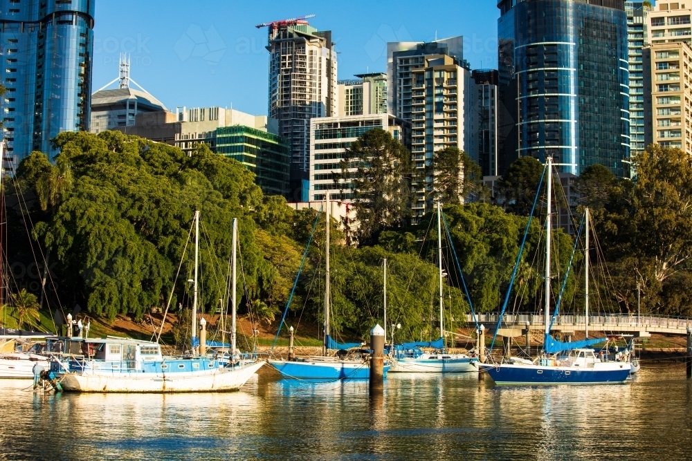 Boats moored on the Brisbane River adjacent to the City Botanic Gardens - Australian Stock Image