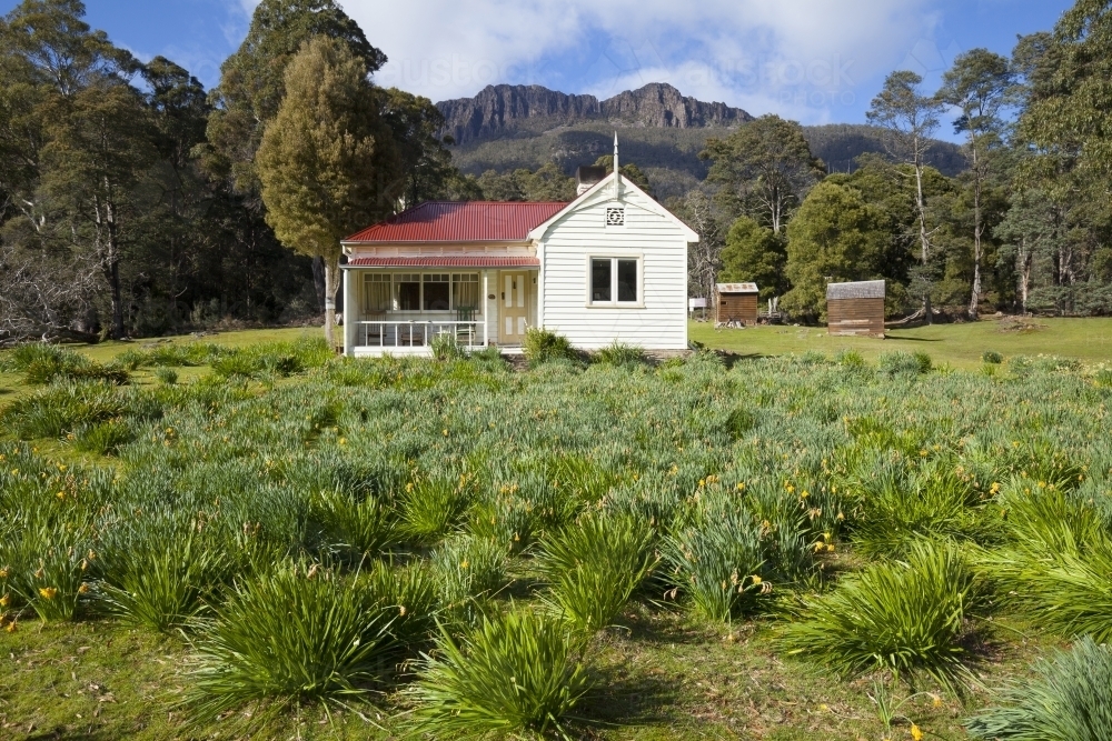 Bob Browns old house and Liffey Bluff - Oura Oura Reserve - Liffey - Tasmania - Australian Stock Image