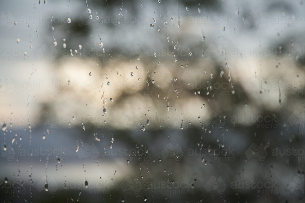 Bokeh gum trees with rain droplets running down glass window on rainy day - Australian Stock Image