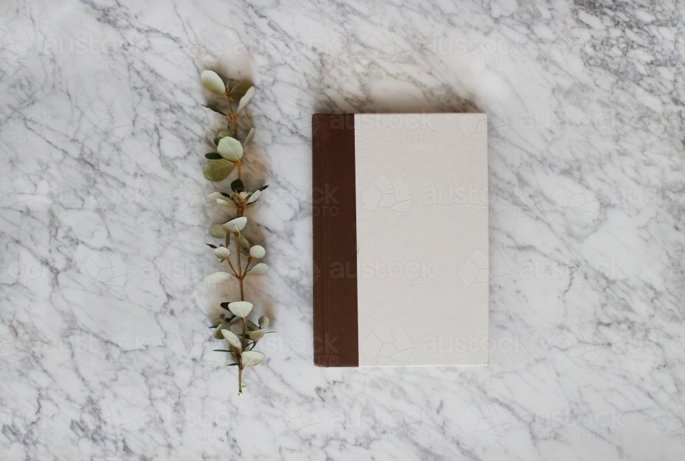 Book with eucalyptus branch on marble background - Australian Stock Image