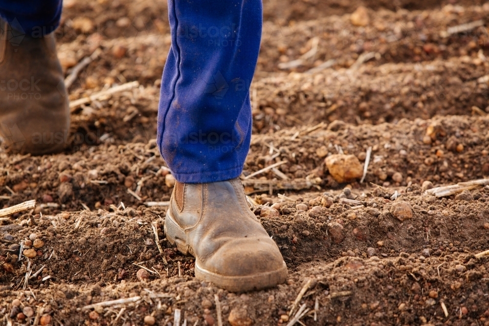 Boots walking on plowed earth - Australian Stock Image
