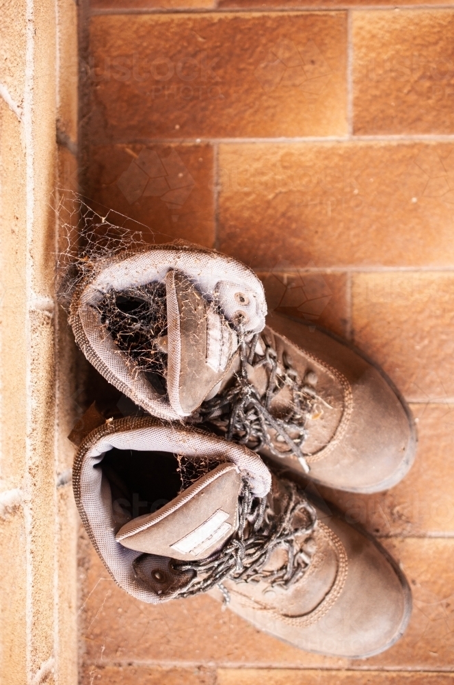 Boots with Spiderwebs - Australian Stock Image