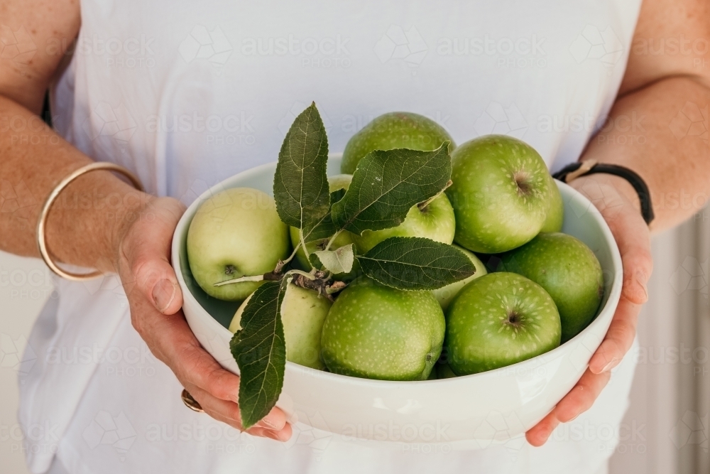 Bowl of fresh picked green apples. - Australian Stock Image