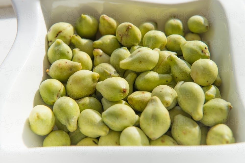 Image of Bowl of Kakadu Plums - Austockphoto Image of Bowl of Kakadu Plums - Austockphoto