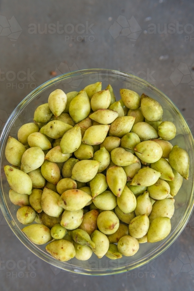 Bowl of Kakadu Plums - Australian Stock Image