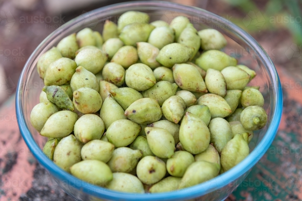 Bowl of Kakadu Plums - Australian Stock Image