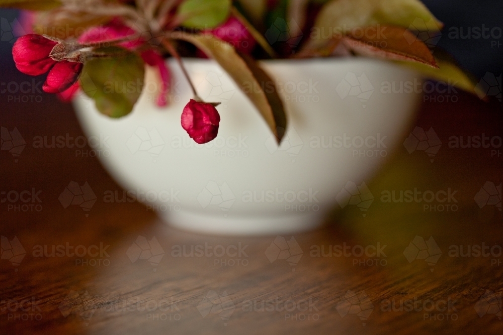 bowl of red crab apple flowers and leaves on a timber table - Australian Stock Image