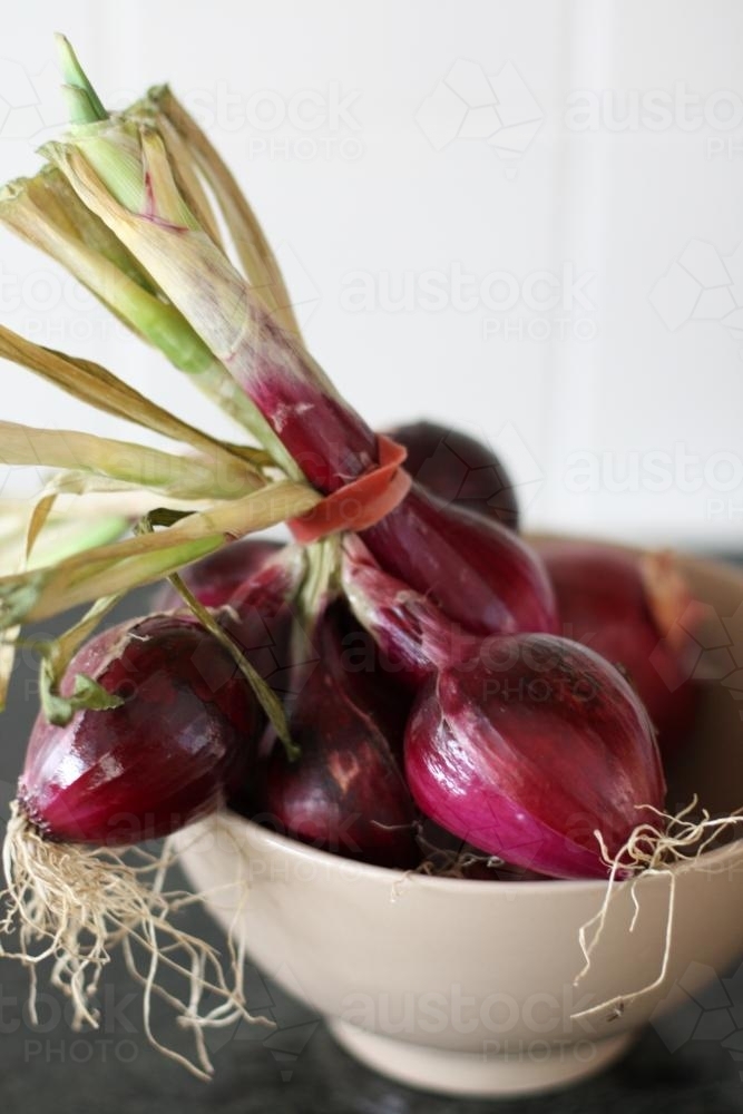 Bowl of red onions - Australian Stock Image