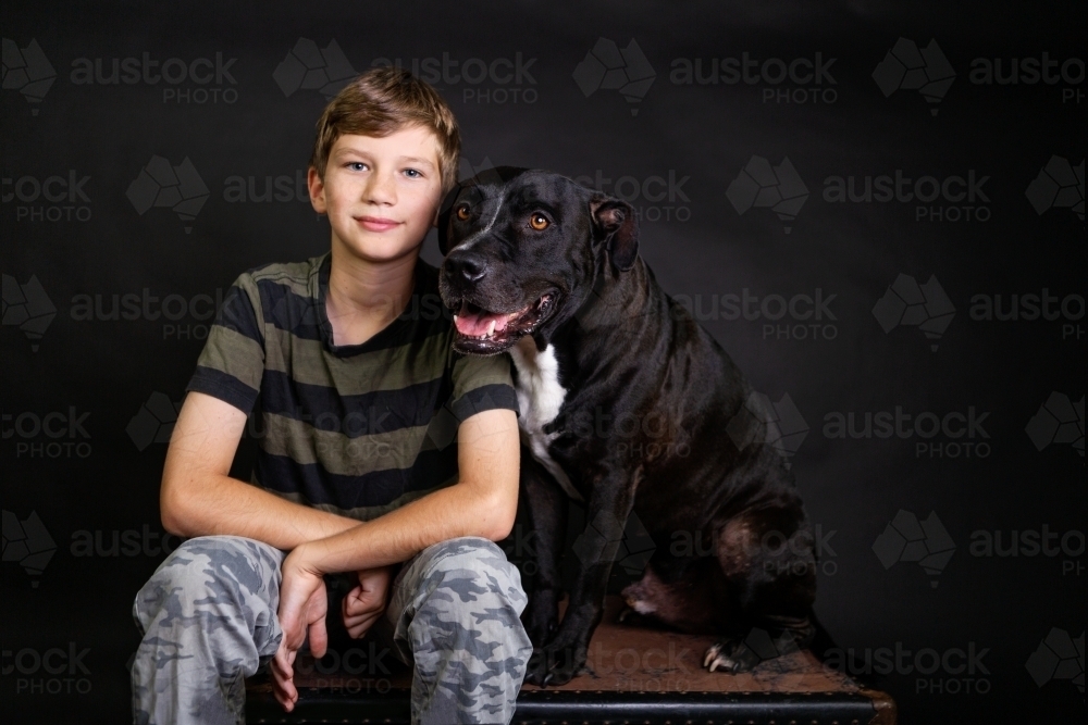 boy and dog in studio portrait - Australian Stock Image