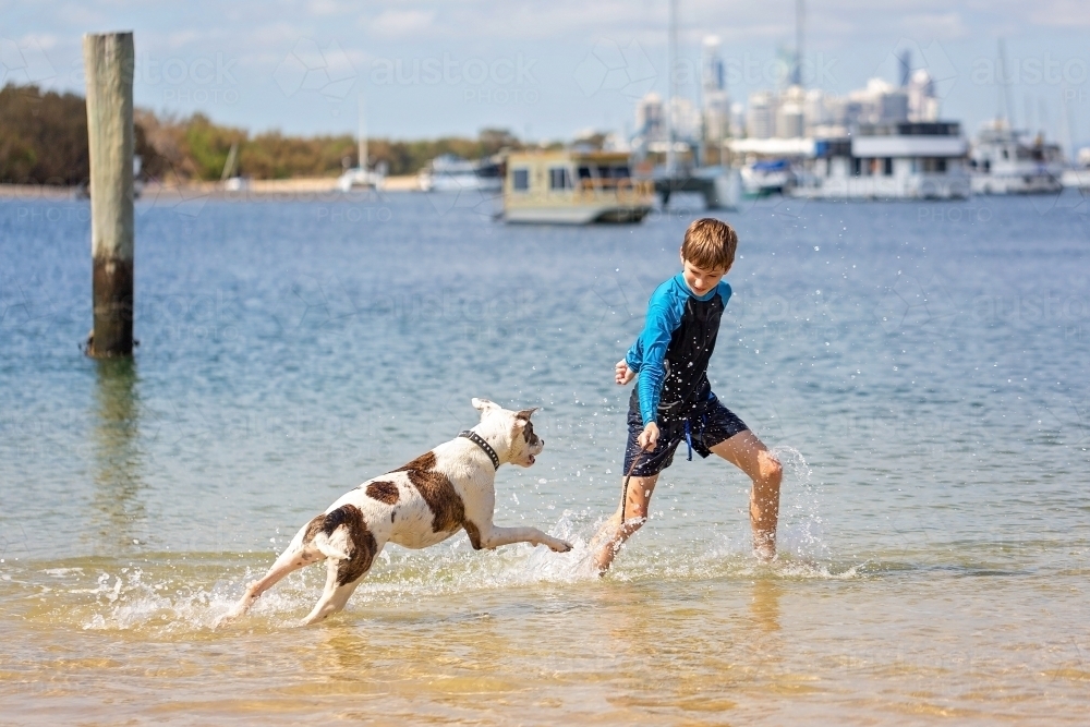 Boy and dog playing at the seashore, Beach Fun - Australian Stock Image