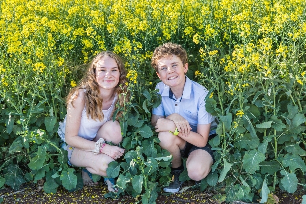Boy and girl crouching down in canola crop on farm - Australian Stock Image