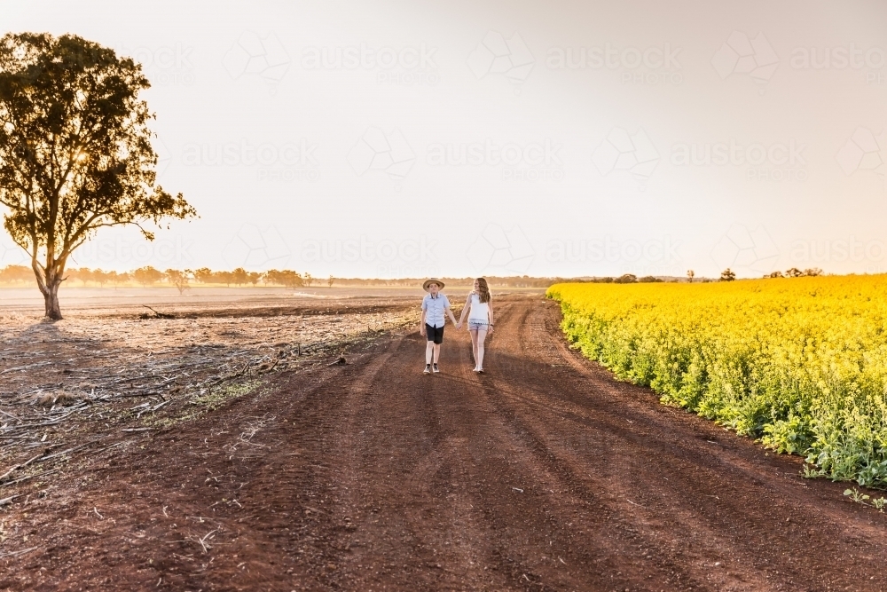 Boy and girl holding hands walking down dirt road on farm next to canola field - Australian Stock Image