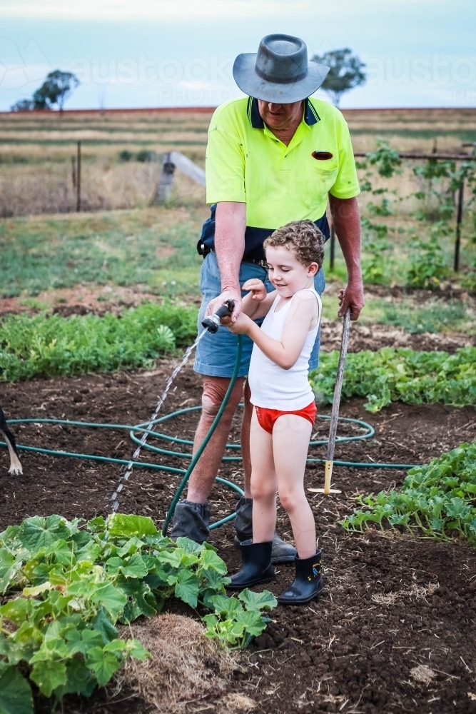 Boy and man on farm watering plants - Australian Stock Image