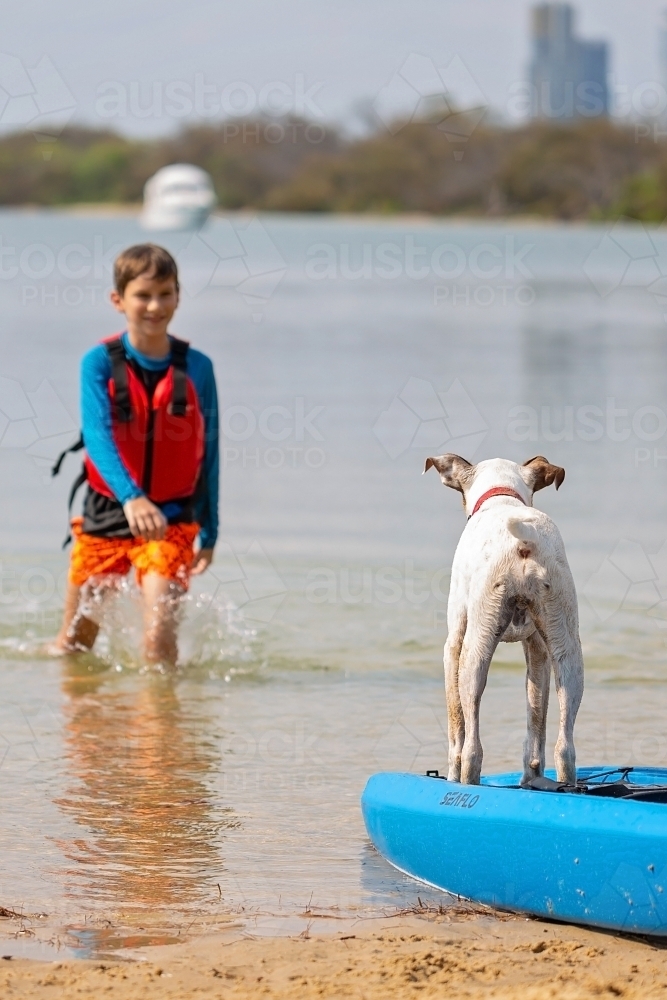 Boy at play with dog on the beach - Australian Stock Image