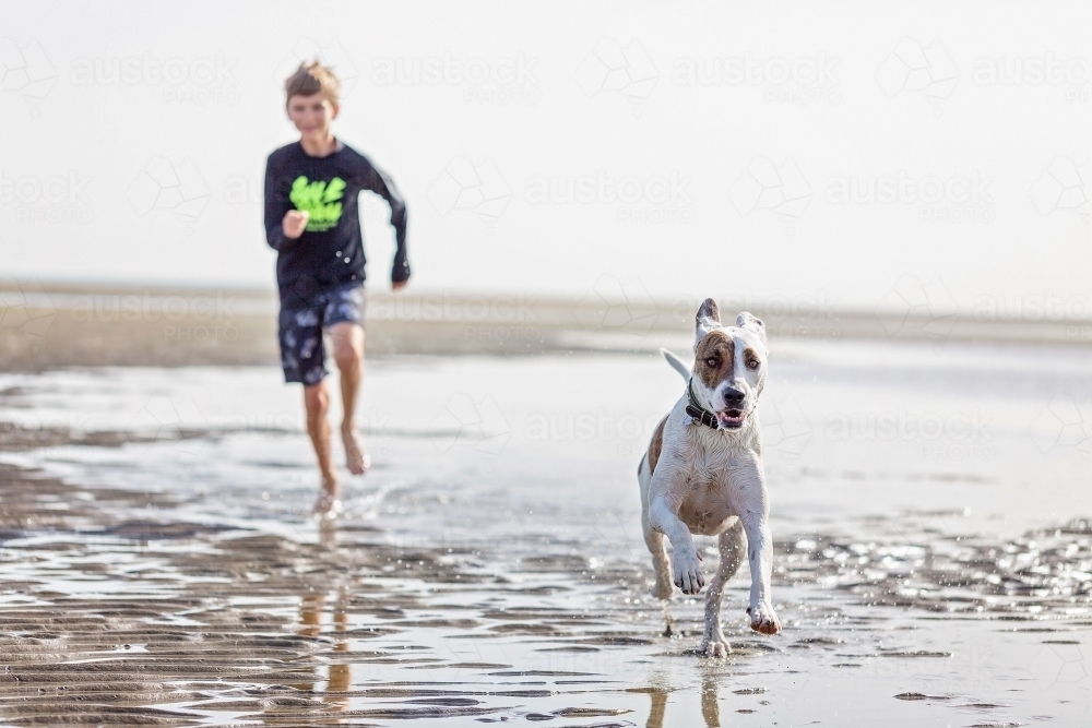 Boy at play with dog on the beach - Australian Stock Image