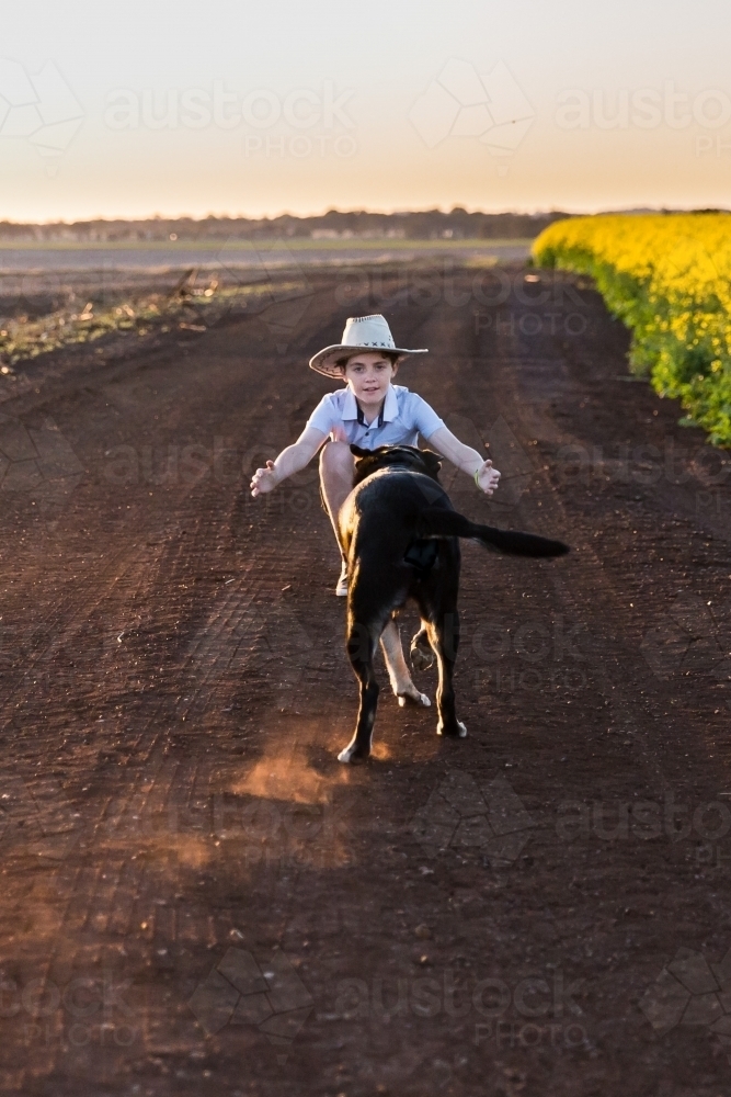 Boy crouched down with arms open wide while kelpie dog runs towards him on farm near canola crop - Australian Stock Image