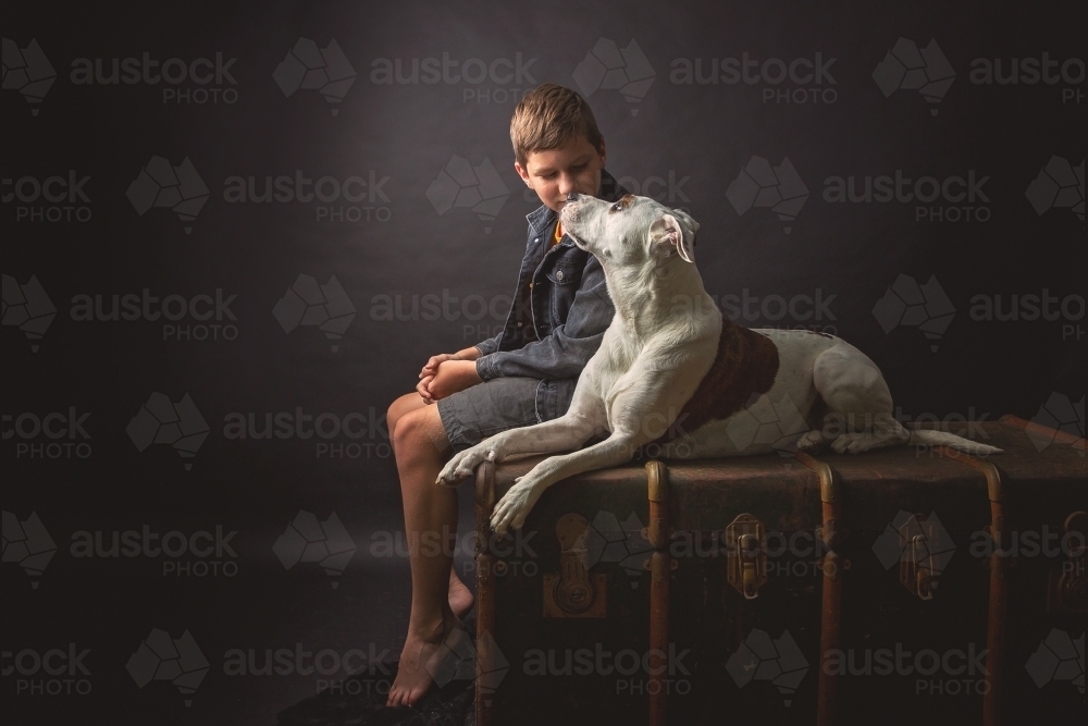 Boy & Dog in studio setting - Australian Stock Image