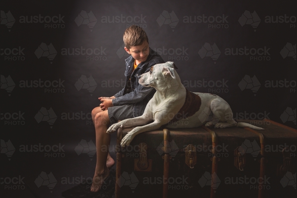 Boy & Dog in studio setting - Australian Stock Image