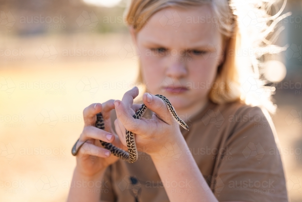 Boy holding pet snake, children's python - Australian Stock Image
