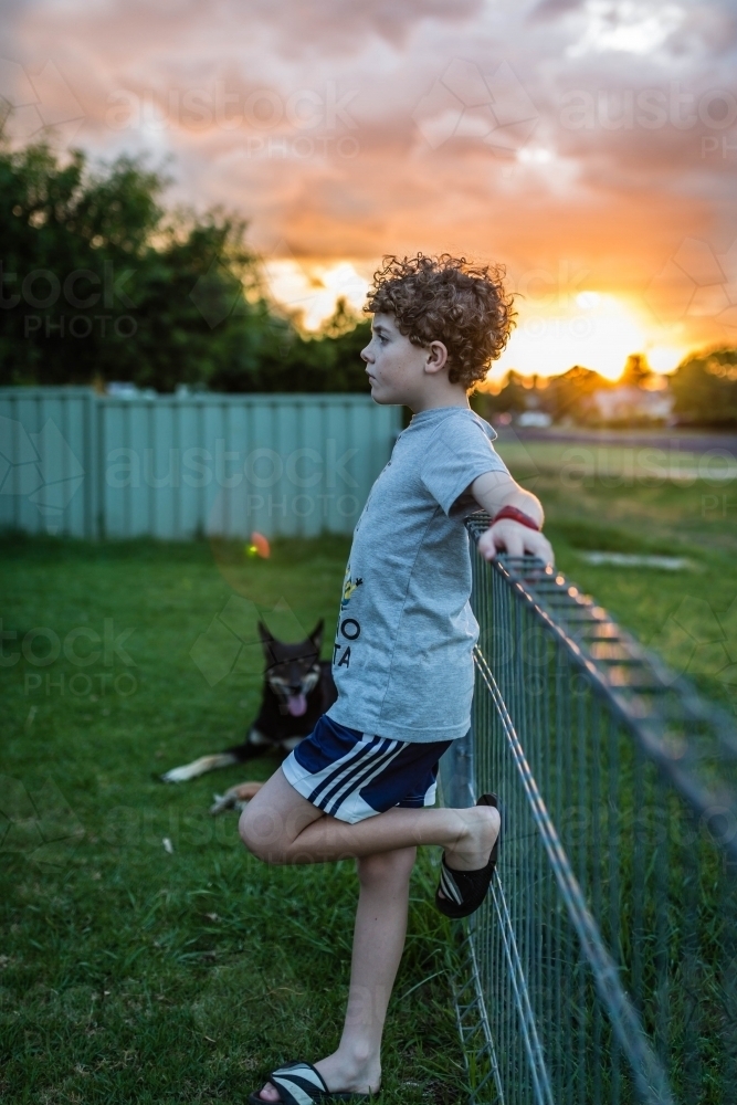 Boy leaning on fence with leg up and kelpie dog at sunset - Australian Stock Image