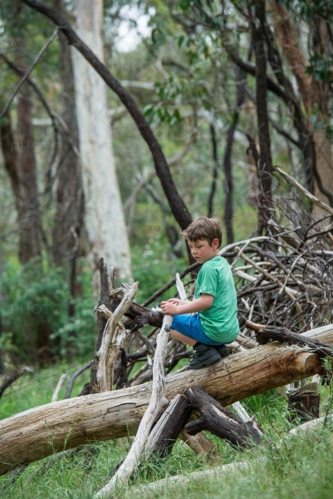 Boy playing in natural bush - Australian Stock Image