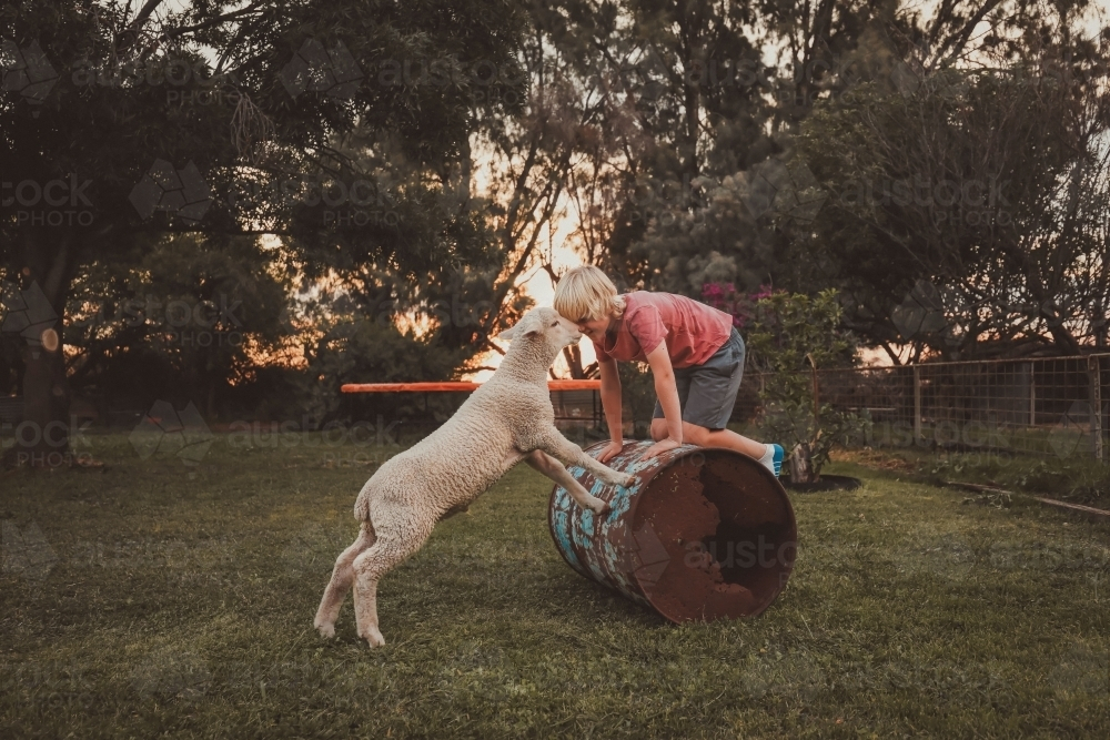Boy playing on metal drum in country backyard with pet lamb - Australian Stock Image